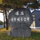 대소생활체육공원 | [음성 대소생활체육공원] 운동하기 좋은 야외 힐링 장소