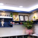 진영라온태권도장 이미지