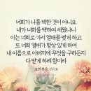 [ICB MDS 9-16-1] 요한복음 15장 16절 이미지