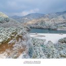 솔밭공원 이미지