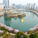 석촌호수 아시아경제