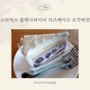 사파이어로 | 스타벅스 블랙사파이어 치즈케이크 조각버전 솔직후기