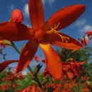 새봄농장(2) 이미지