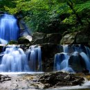 소백산 남천야영장2 이미지