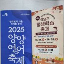 양양 | 2025 양양연어축제 체험 생생 후기 양양군 평생학습축제