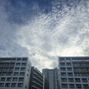 속초 해수욕장 앞 저렴한 호텔 &#34;리센 오션파크 속초&#34; 숙박 후기