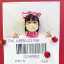 용인대 지노 태권 스쿨 이미지