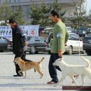 미소 이미지