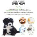 Tree Pet(트리펫) | 저자극 케어 &#39;토일러 펫트리&#39; 반려동물 세정제 후기!! [펫세정제, 반려동물세정제, 강아지식기, 장난감...