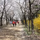 경산파크골프 이미지