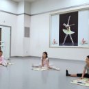 이화엠와이발레학원 이미지