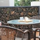 Maroon stay 이미지