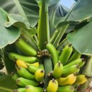 더레드하우스 베이커리카페 이미지