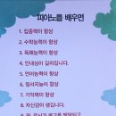 성성푸른어린이집 이미지