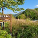 힐링하우스 | <속리산펜션> 상주 문장대 인근 감성 숙소, 속리산과 함께한 “문장대힐링하우스” 솔직 후기