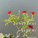 👉9/19 류효상의 신문을 통해 알게 된 이야기들🐇 이미지