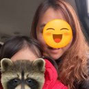 응암동 109-1 이미지