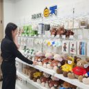 인제군청 다문화카페 이미지