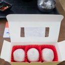 스텔라 달 마레 이미지