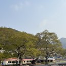 카카카친구들 이미지