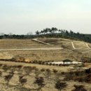 공설묘지 이미지