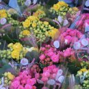 매화시장 이미지