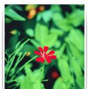 연수원로 이미지