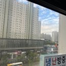뉴스타정형외과의원 네이버블로그