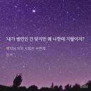 로판 리뷰