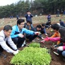 유성농장 4농장 이미지