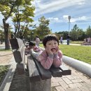 마리아어린이공원 이미지