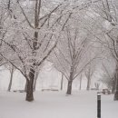 정촌유기농원 이미지