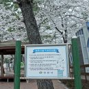 도천초등학교 앞 이미지
