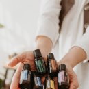 코지시엘 이미지