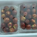 윤하농장 이미지