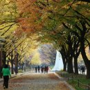 월량대표아적심 (月亮代表我的心 .The Moon, My Heart) - Piano 이미지