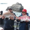 도시어부 이미지