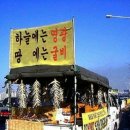 하늘굴비