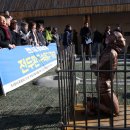 40년광화문 이미지
