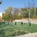 초안산 족구장 이미지