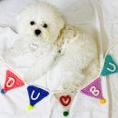 대바늘과코바늘 이미지