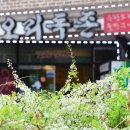 천상천하오리독존 이미지