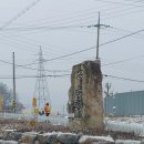 원주굽이길 원7코스 반계리은행나무길 이미지