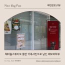 위드덴탈 | [동탄 사진관] 헤이쏠스튜디오 동탄 가족사진으로 남긴 반려견 레오의 하루