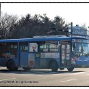 간선-65 이미지