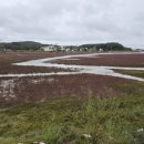 대부도 이찬 자선비 이미지