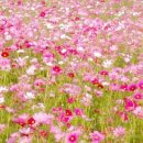 SK굿모닝공인중개사사무소 이미지