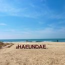 누리D&B | 해운대 꽃게 맛집 찾다가 제대로 반한 곳 신사꽃게당 해운대점 D세트 후기