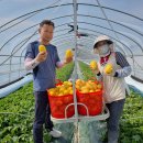 하빈농업협동조합 이미지