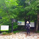 ◆ 북한산 국립공원 도봉산 마당바위 천축사산행 그리고 북한산찬가 이야기